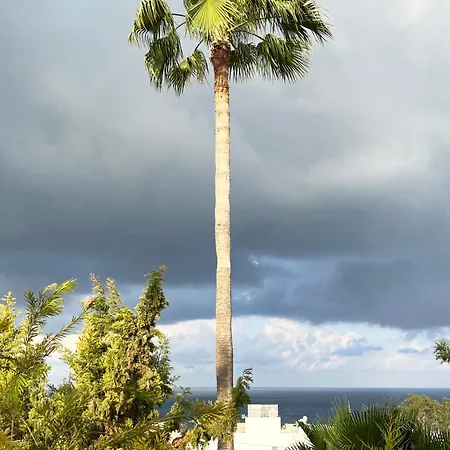 H&o Berenike * كيسونيجرا