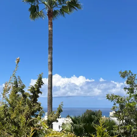 H&o Berenike Apartamento