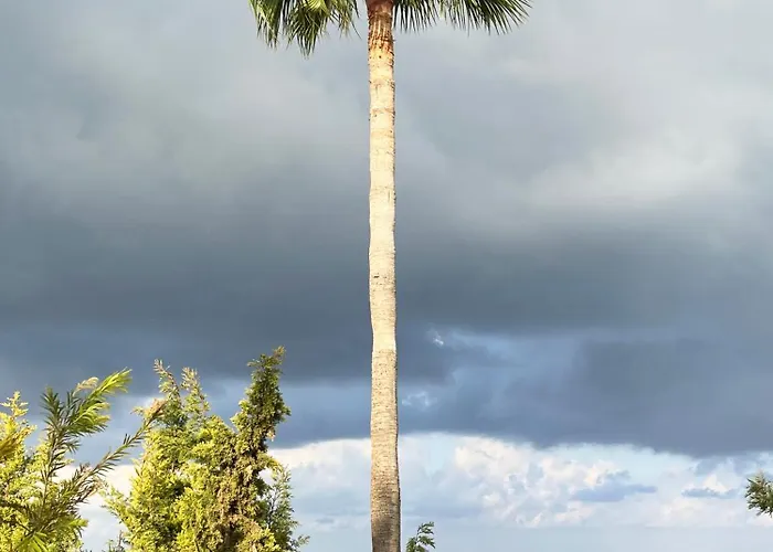 H&o Berenike * Kissonerga